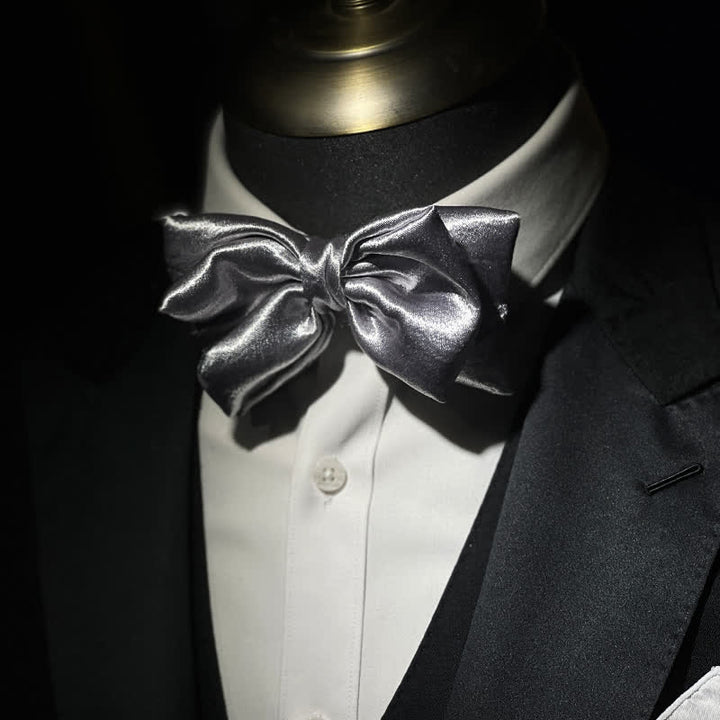 Papillon doppio strato argento metallizzato Cool Future da uomo