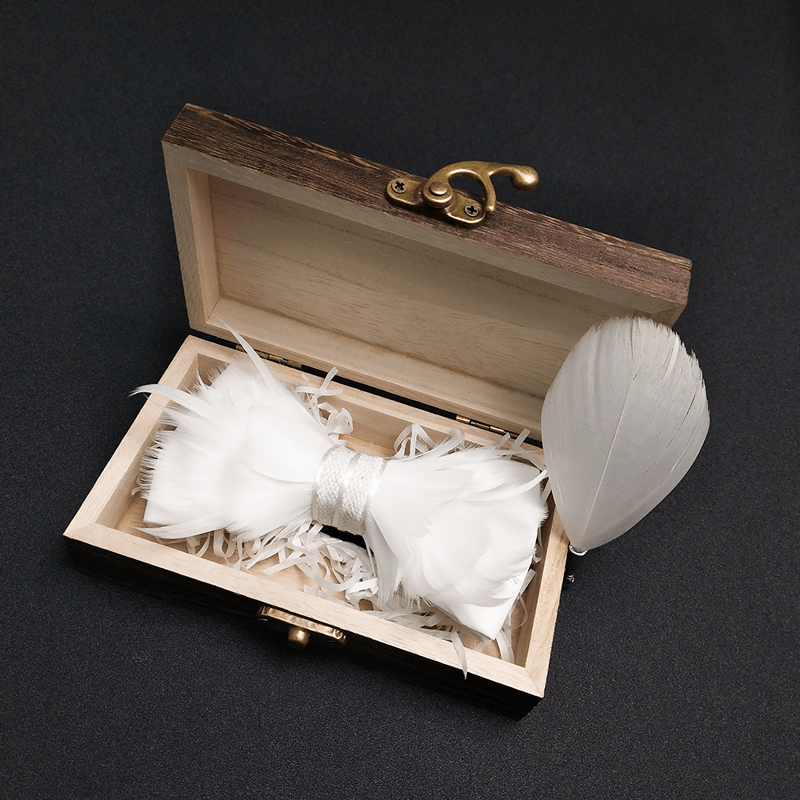 Papillon con piume di principe bianco puro e spilla da bavero - image 1