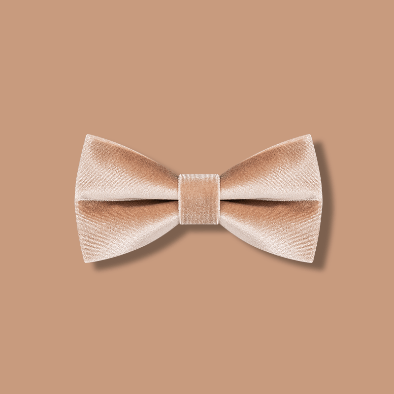 Papillon in velluto color champagne da uomo - Champagne - image 1