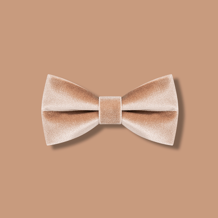 Papillon in velluto color champagne da uomo