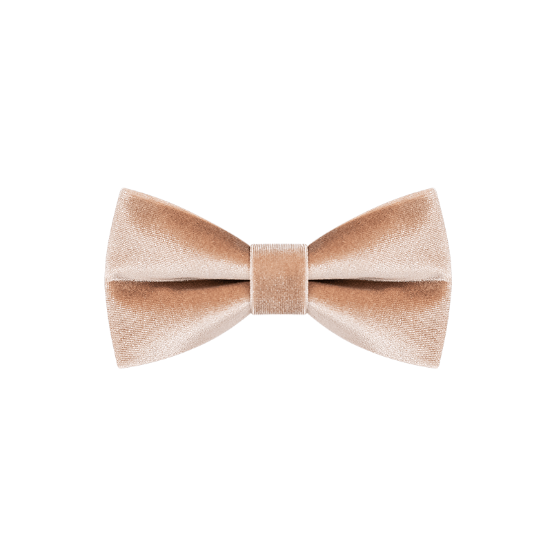 Papillon in velluto color champagne da uomo - image 6