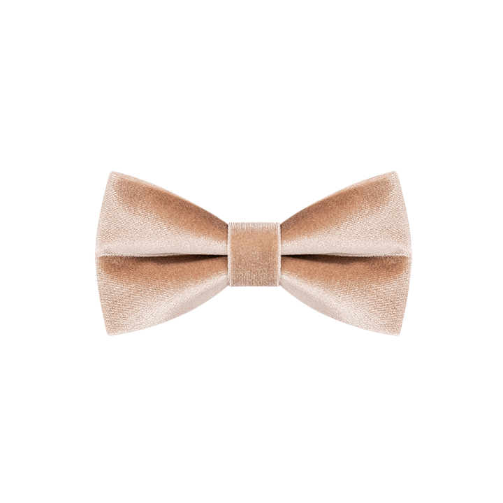 Papillon in velluto color champagne da uomo - image 6