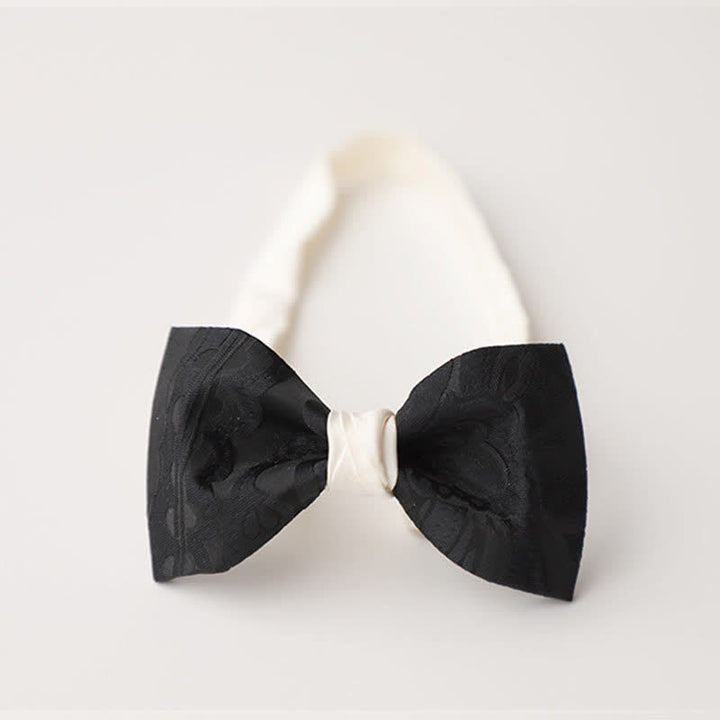 Papillon elegante da uomo nero abbinato bianco