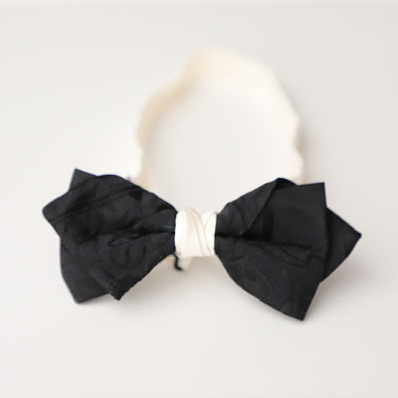Papillon elegante da uomo nero abbinato bianco
