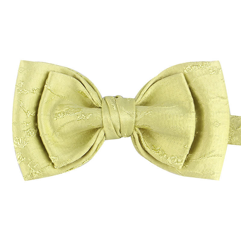 Papillon da sposa floreale meticoloso speciale da uomo