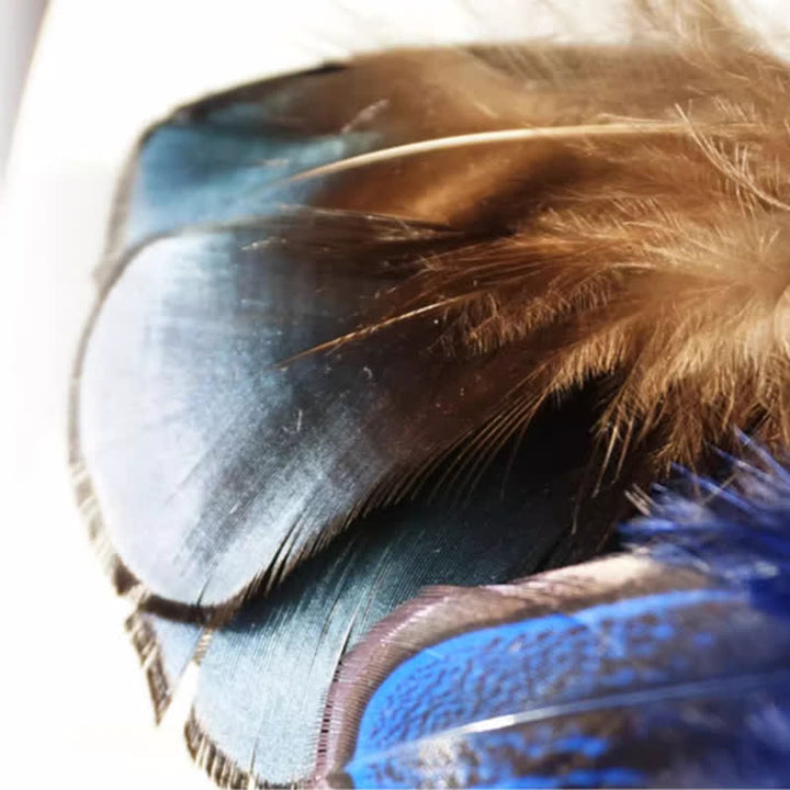 Papillon con piume di uccello blu navy e nero