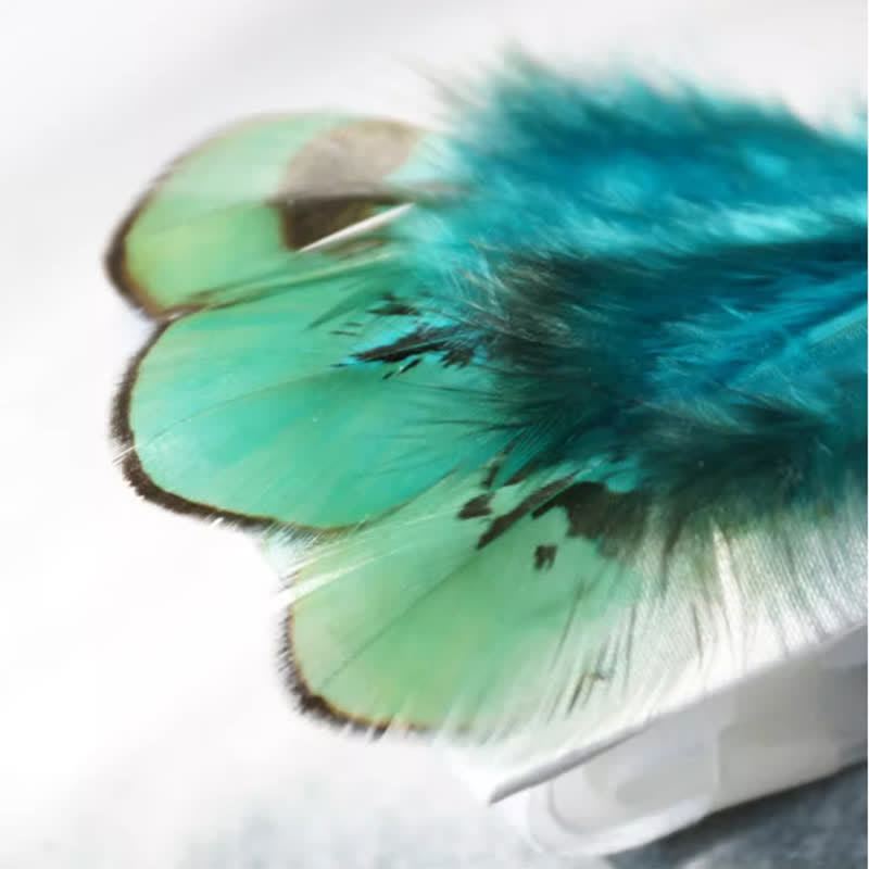Papillon con piume di coda di pavone turchese e bianco