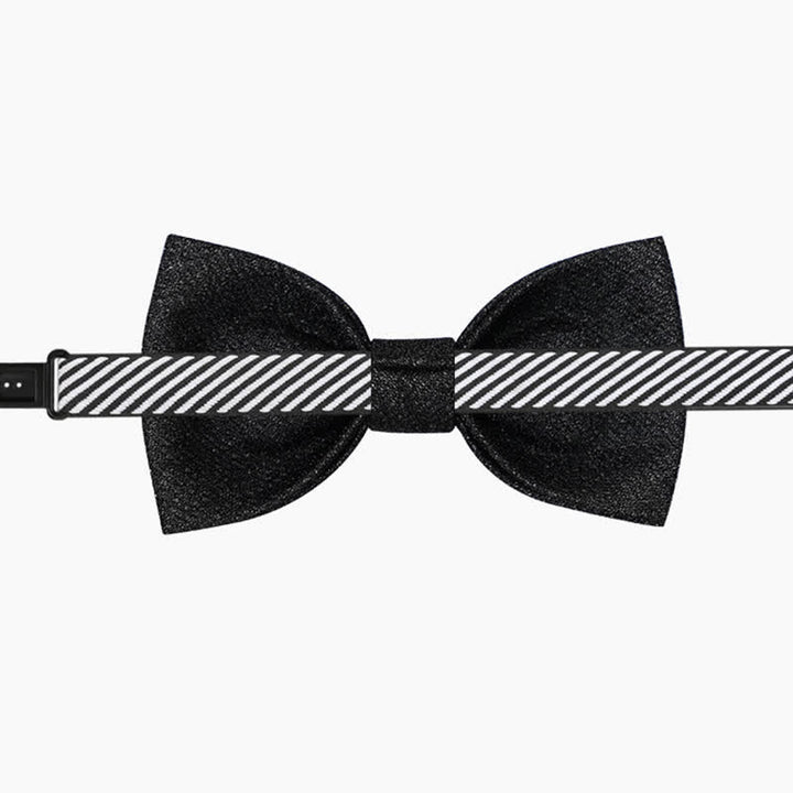 Papillon scintillante da uomo per feste in maschera