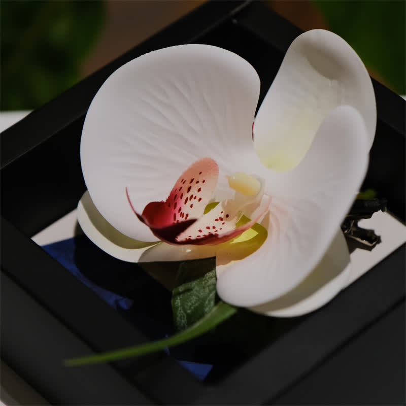 Set di 3 fazzoletti e papillon Phalaenopsis bianchi da uomo - image 6