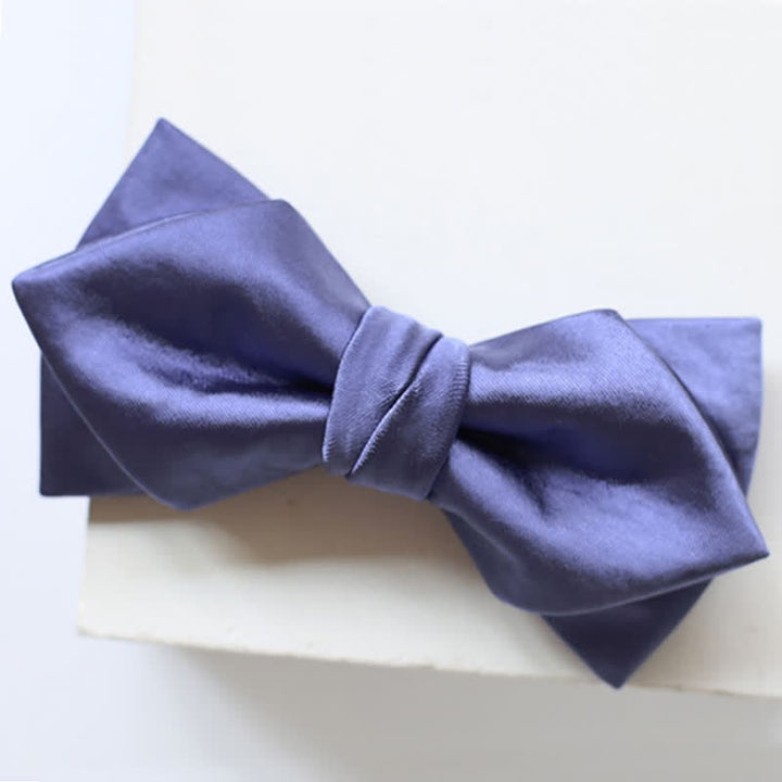 Papillon da uomo elegante blu viola tinta unita