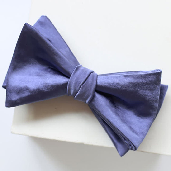 Papillon da uomo elegante blu viola tinta unita