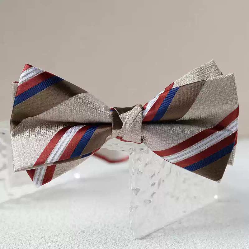 Papillon da uomo con fazzoletto stampato vintage a doppio strato