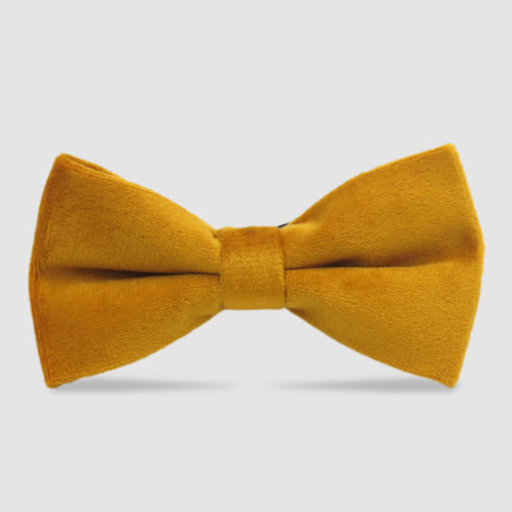Papillon formale in velluto tinta unita da uomo - Giallo - image 11