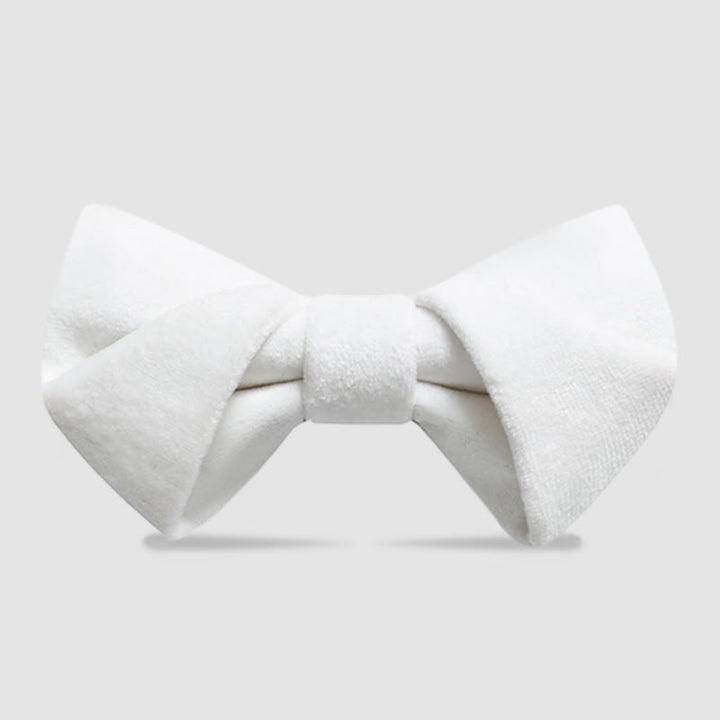 Papillon in velluto intrecciato elegante da uomo - Bianco - image 11