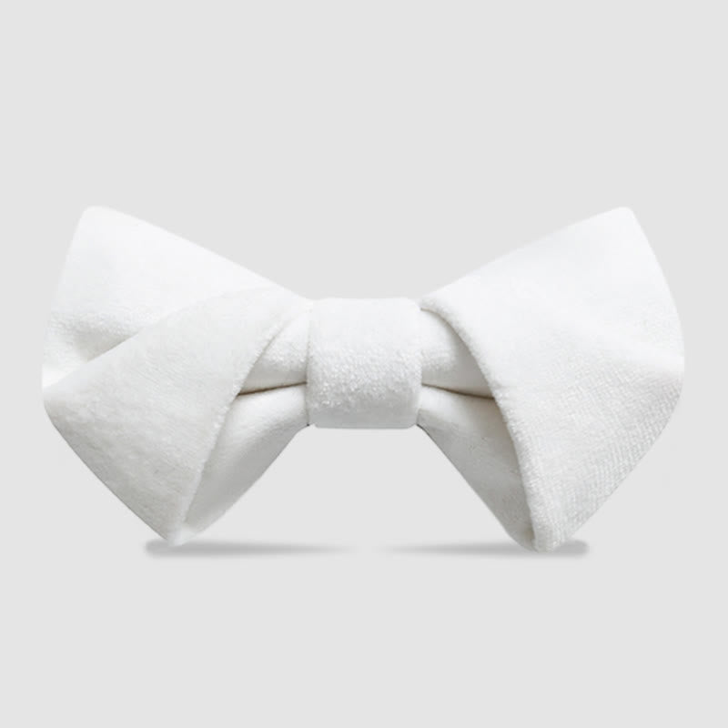 Papillon in velluto intrecciato elegante da uomo - Bianco - image 11