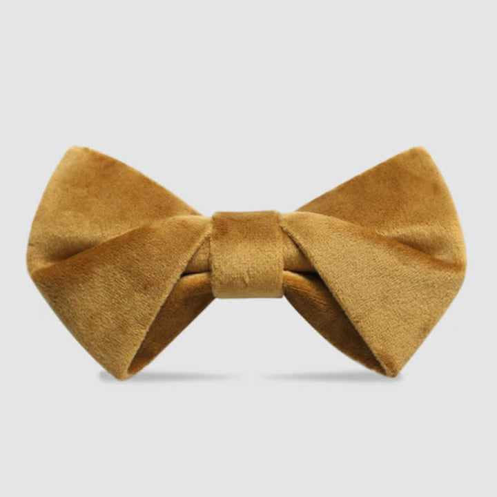 Papillon in velluto intrecciato elegante da uomo
