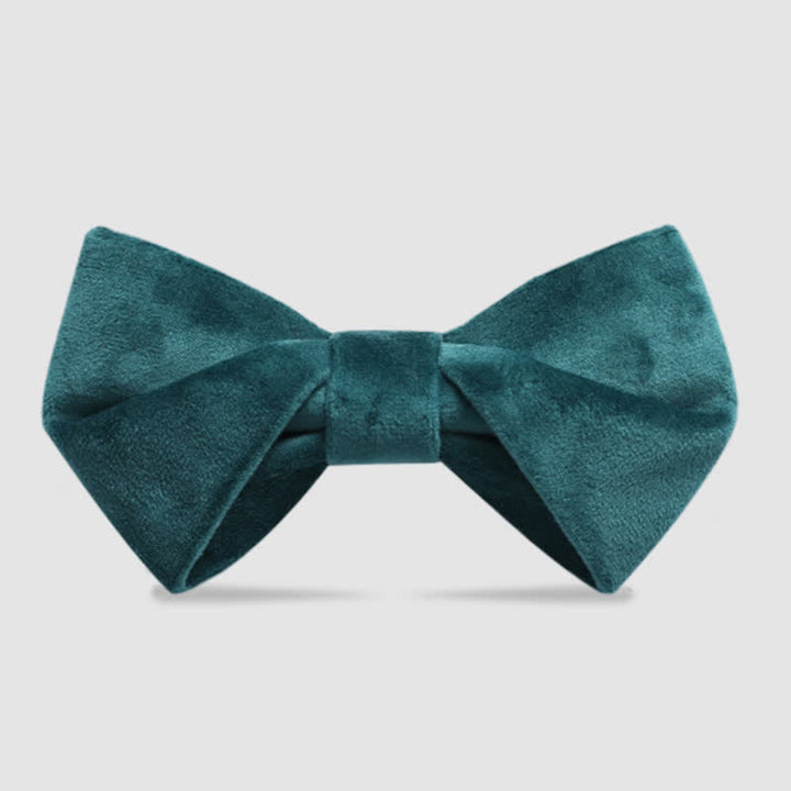 Papillon in velluto intrecciato elegante da uomo - Verde acqua - image 5