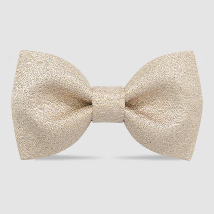 Papillon classico da uomo con glitter oro