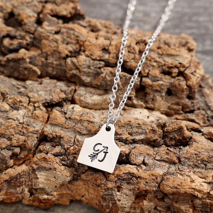 Collana in acciaio inossidabile con iniziale personalizzata in argento con mini targhetta per bovini - image 10