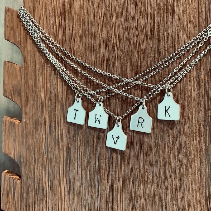 Collana in acciaio inossidabile con iniziale personalizzata in argento con mini targhetta per bovini - image 3