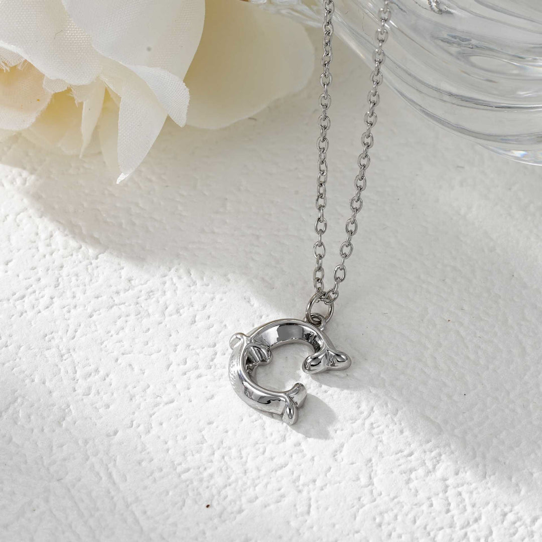 Elegante collana da donna con ciondolo a forma di lettera in oro e argento - Argento - C - image 30