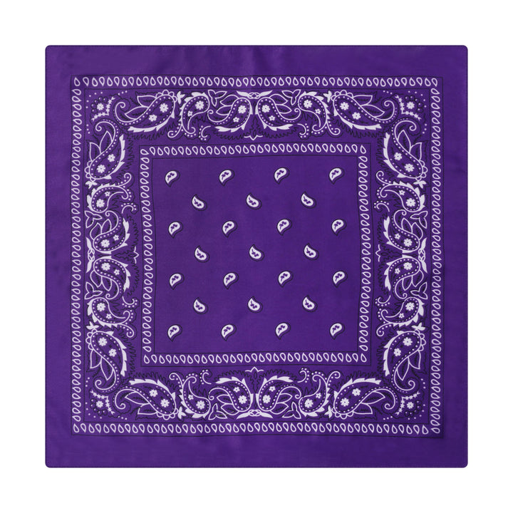 Fazzoletto da taschino vintage con stampa Paisley Cashew e fibbia a stella argentata - Stile n. 6 - image 7