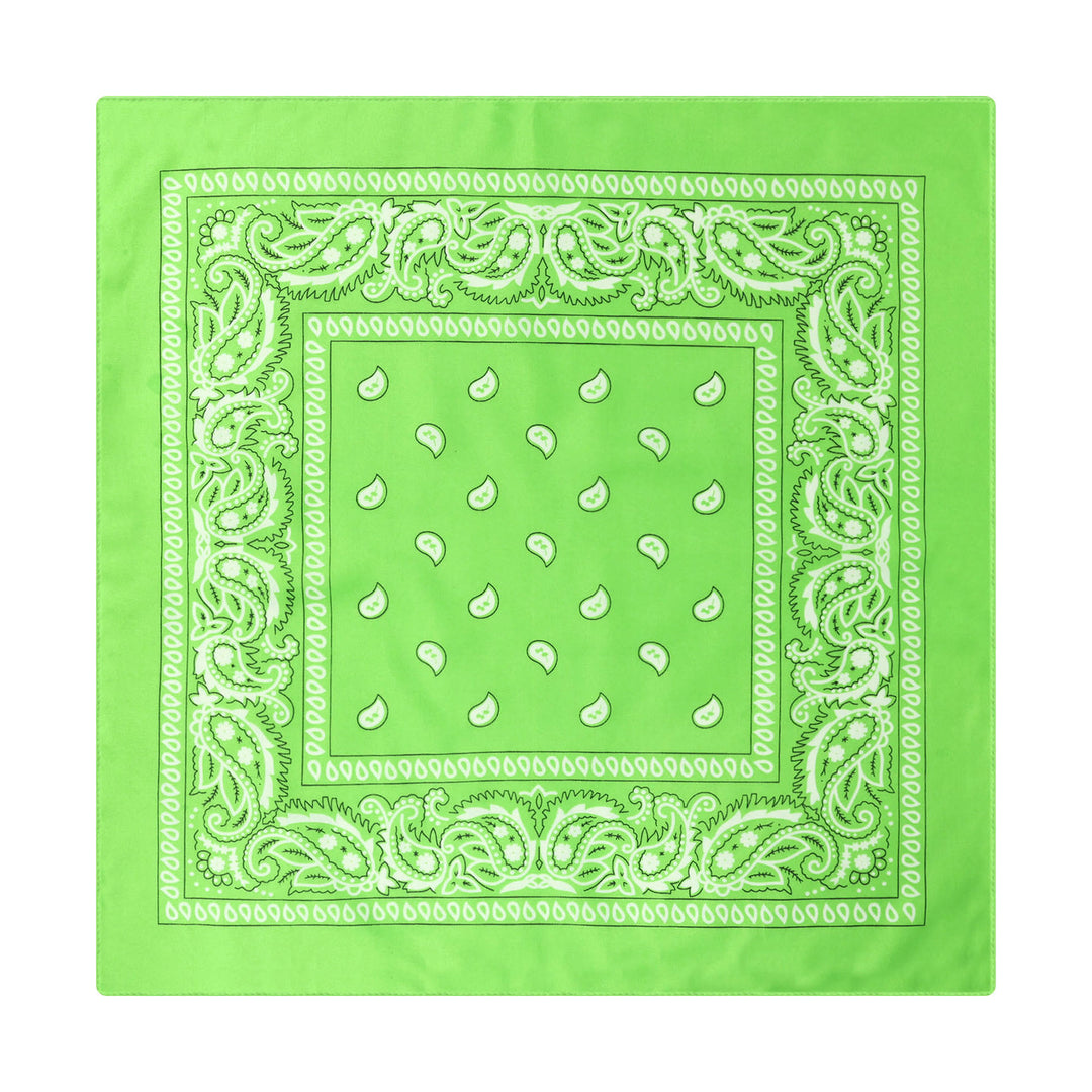 Fazzoletto da taschino vintage con stampa Paisley Cashew e fibbia a stella argentata - Stile n. 5 - image 6