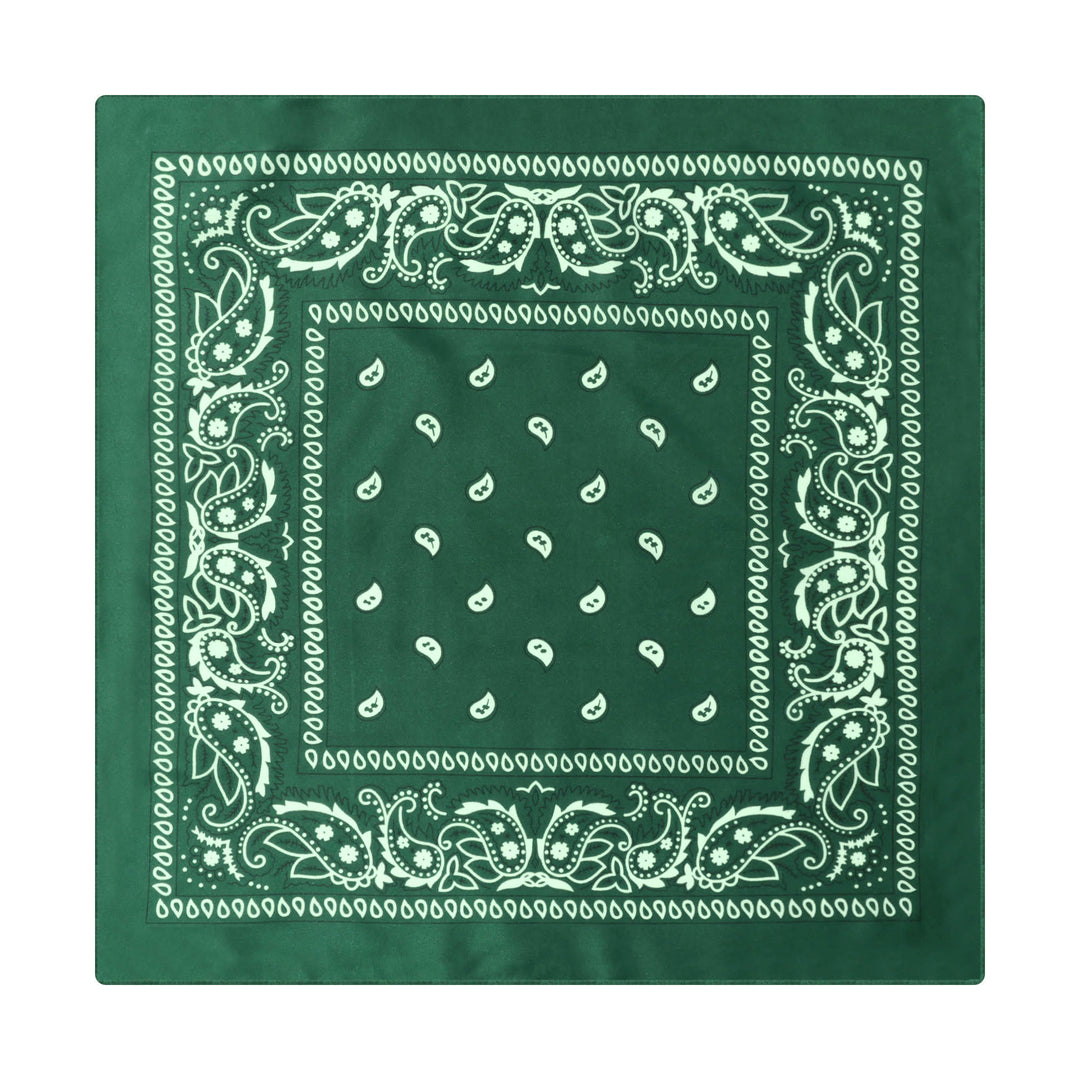 Fazzoletto da taschino vintage con stampa Paisley Cashew e fibbia a stella argentata - Stile n. 9 - image 10