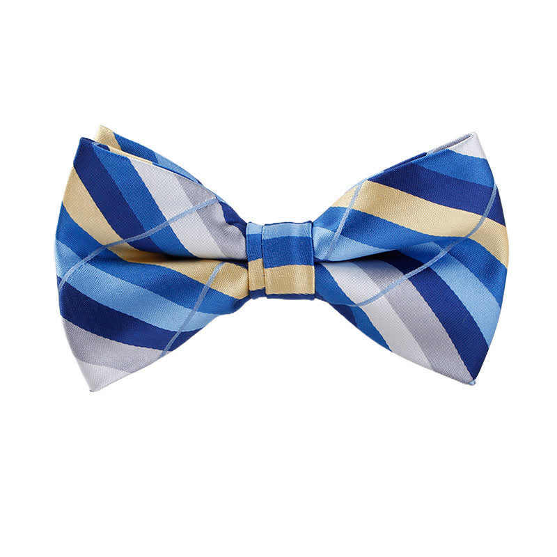 Papillon a righe luminose accattivante da uomo - Blu - image 5