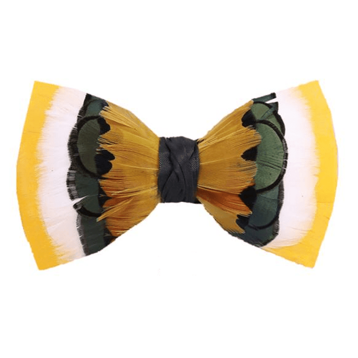Papillon con piume gialle e bianche vivaci