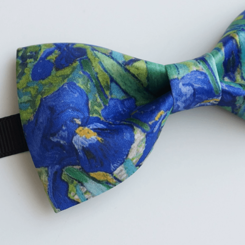 Papillon da uomo con stampa a olio creativo, motivo iris verde