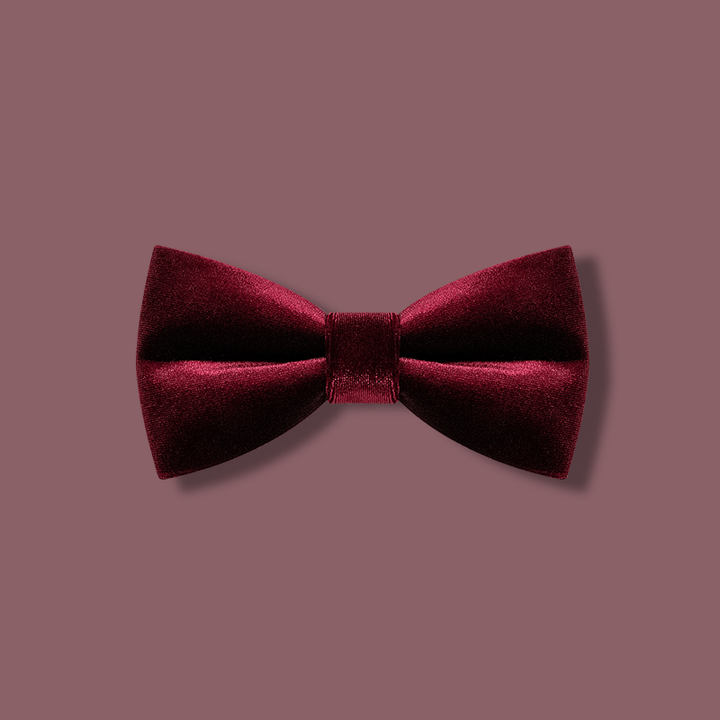 Papillon in velluto color bordeaux da uomo
