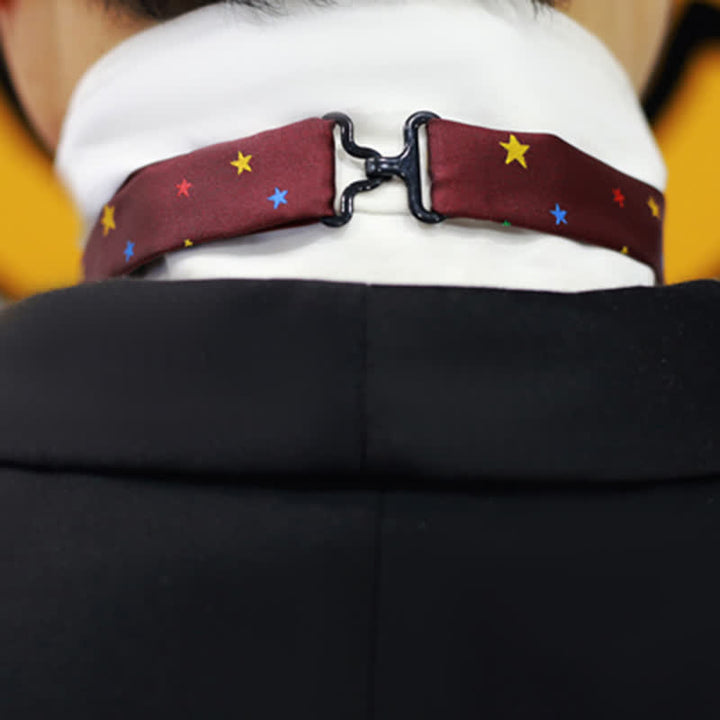 Papillon da uomo con stelle scintillanti colorate bordeaux