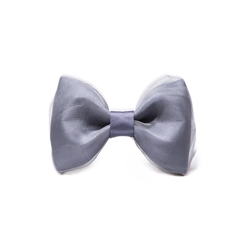 Papillon in organza grigio semplice da uomo - Grigio - image 0