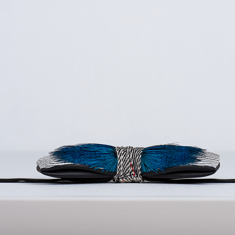 Papillon con piume blu pavone e oceano