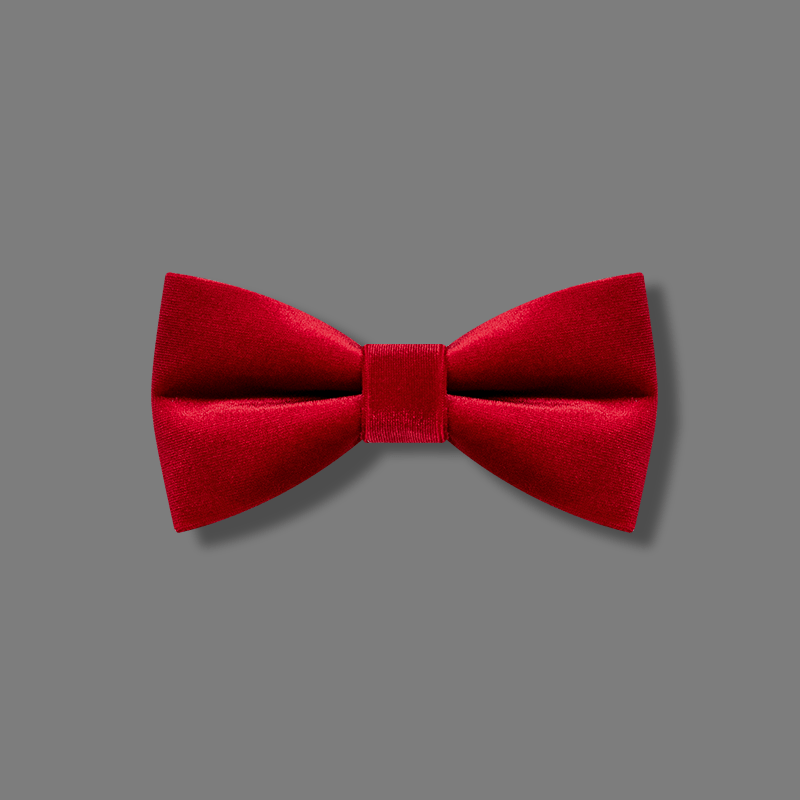 Papillon in velluto rosso brillante da uomo