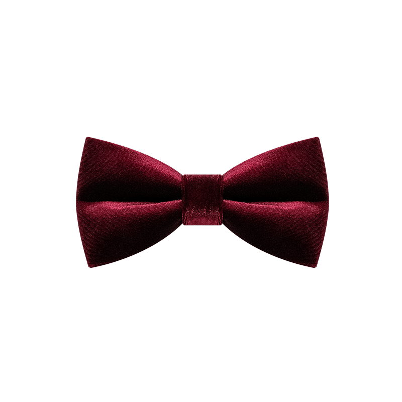 Papillon in velluto color bordeaux da uomo