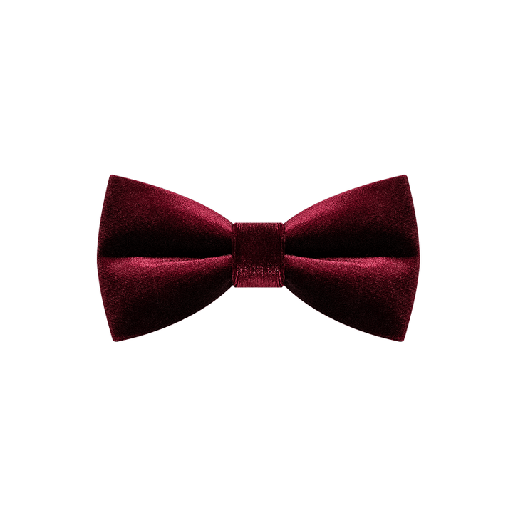 Papillon in velluto color bordeaux da uomo