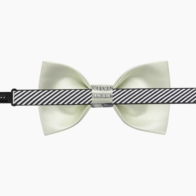 Papillon da uomo con dollaro verde