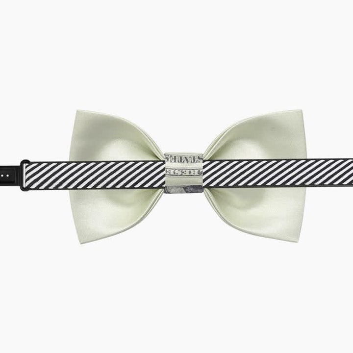 Papillon da uomo con dollaro verde