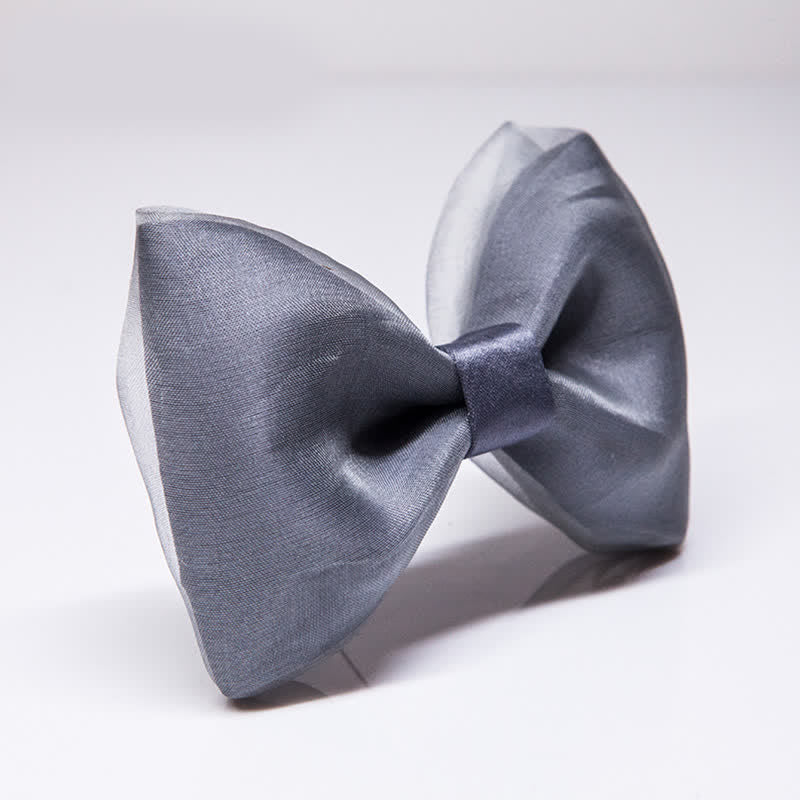 Papillon in organza grigio semplice da uomo - image 3