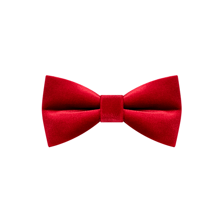 Papillon in velluto rosso brillante da uomo